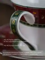 Разноцветный чайная пара Repast Bordo 220 мл