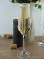 Прозрачный набор фужеров для шампанского Crystalite Bohemia Alca 220 мл 6 шт.