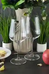 Прозрачный набор бокалов для вина Crystalite Bohemia Strix/Dora 450 мл (2 шт)