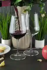 Прозрачный набор бокалов для вина Crystalite Bohemia Strix/Dora 450 мл (2 шт)