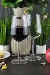 Прозрачный набор бокалов для вина Crystalite Bohemia Strix/Dora 450 мл (2 шт)