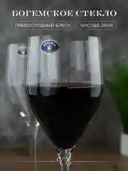 Прозрачный набор бокалов для вина Crystalite Bohemia Sitta/stella 360мл (6 шт)