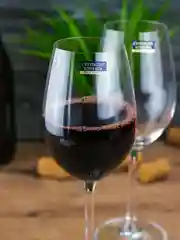 Прозрачный набор бокалов для вина Crystalite Bohemia Colibri/Gastro 350 мл (2 шт)