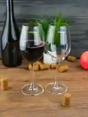 Набор бокалов для вина Crystalite Bohemia Colibri/Gastro 350 мл (2 шт)