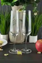 Прозрачный набор бокалов для шампанского Crystalite Bohemia Strix/Dora 200 мл 2 шт.