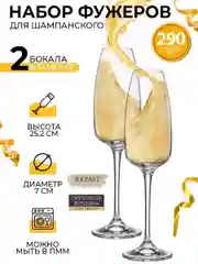 Набор бокалов для шампанского Crystalite Bohemia Anser/Alizee 290 мл (2 шт)