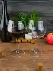 Набор бокалов для вина Crystalite Bohemia Colibri/Gastro 570 мл (6 шт)