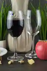 Прозрачный набор бокалов для вина Crystalite Bohemia Sylvia/Klara 250 мл (6 шт)