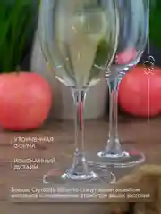Прозрачный набор бокалов для вина Crystalite Bohemia Sylvia/Klara 250 мл (6 шт)