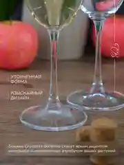 Набор бокалов для вина Crystalite Bohemia Milvus/Barbara, 300 мл, 6 шт