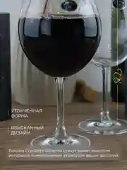 Прозрачный набор бокалов для вина Crystalite Bohemia Sylvia/Klara 460 мл (6 шт)