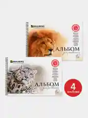 Альбом для рисования А4 40 листов, комплект 4 штуки, на пружине, Brauberg, 205х290 мм