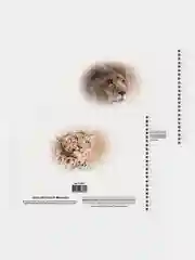 Альбом для рисования А4 40 листов, комплект 4 штуки, на пружине, Brauberg, 205х290 мм