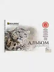 Альбом для рисования А4 40 листов, комплект 4 штуки, на пружине, Brauberg, 205х290 мм