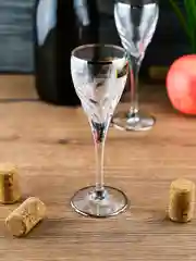 Прозрачный набор рюмок для водки RCR Style prestige Палермо платина, 80 мл, хрустальное стекло, 2шт.