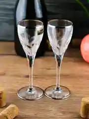 Набор рюмок для водки RCR Style prestige Палермо платина, 80 мл, хрустальное стекло, 2шт.