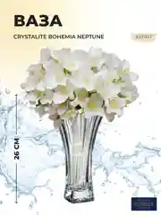 Прозрачный ваза Crystalite Bohemia Neptune 26 см