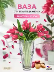 Прозрачный ваза Crystalite Bohemia Perseus-nova 25 см