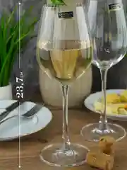 Прозрачный набор бокалов для вина Columba Optic Crystalite Bohemia 400 мл 2 шт.
