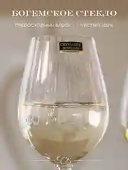 Прозрачный набор бокалов для вина Columba Optic Crystalite Bohemia 400 мл 2 шт.