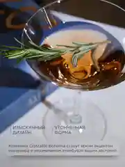 Прозрачный набор бокалов для мартини Crystalex Bohemia Lara 210 мл (2 шт)