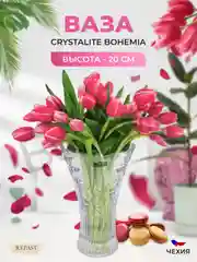 Прозрачный ваза Crystalite Bohemia Perseus-nova 20 см