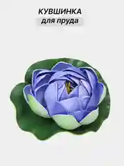 Зеленый кувшинки садовые для пруда