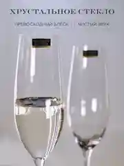 Прозрачный набор бокалов для шампанского COLUMBA OPTIC 260 мл 2 шт.
