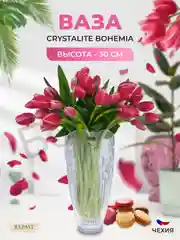 Прозрачный ваза Crystalite Bohemia Perseus-nova 30 см