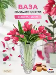 Прозрачный ваза Crystalite Bohemia 25 см