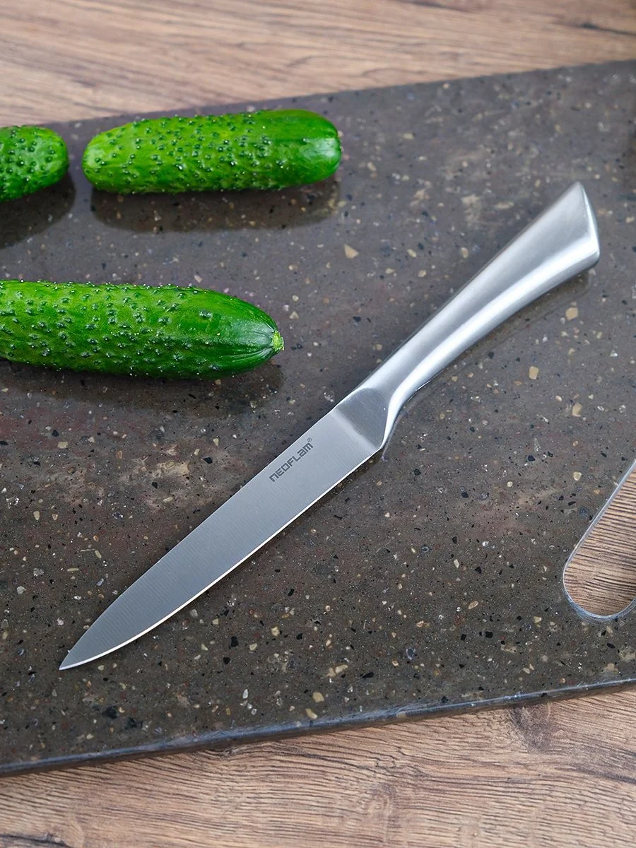 Серебряный нож Универсальный Neoflam Stainless Steel 24*3*2 см