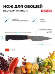 Нож для овощей и фруктов Neoflam Titanium 20х2 см
