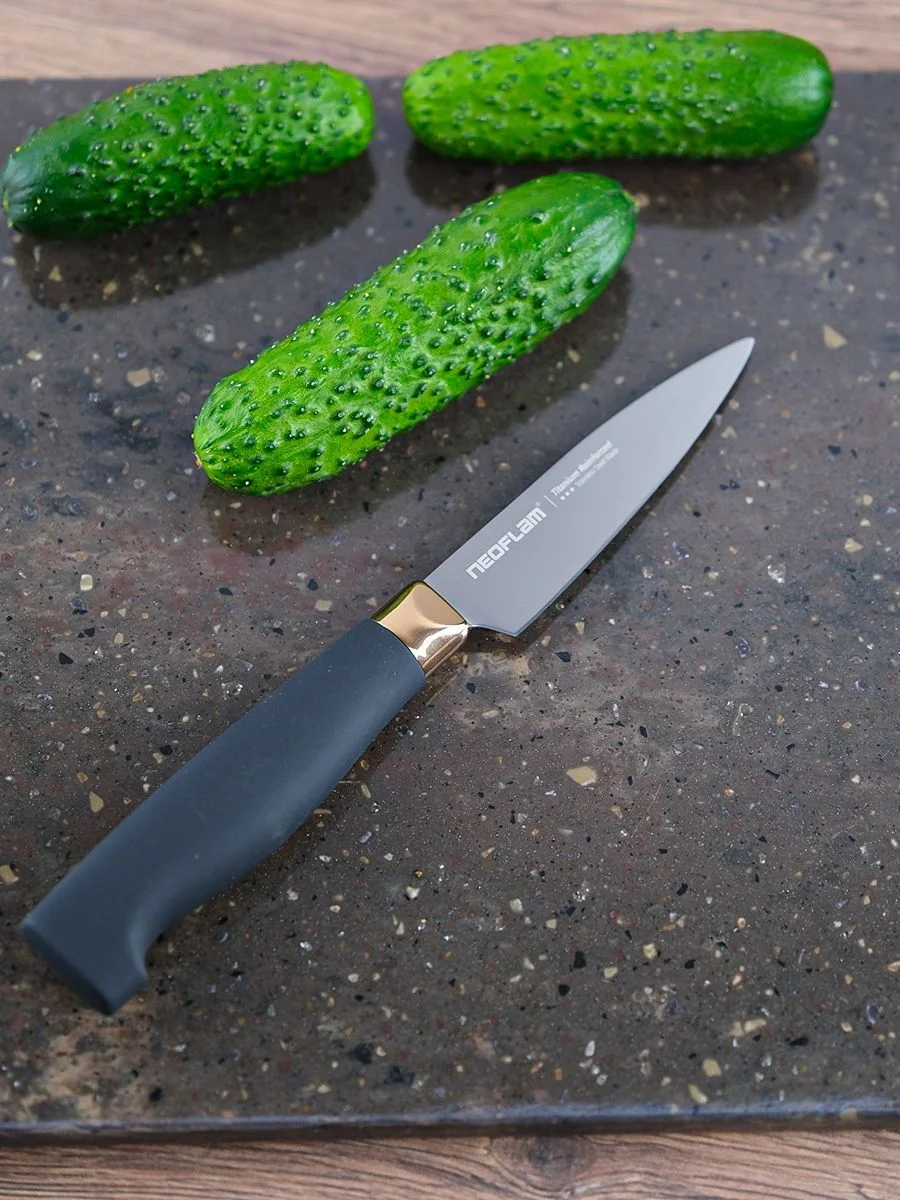 Серебряный нож для овощей и фруктов Neoflam Titanium 20х2 см