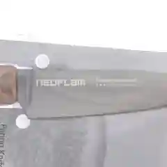 Серебряный нож для овощей и фруктов Neoflam Titanium 20х2 см