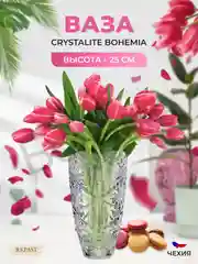 Прозрачный ваза Crystalite Bohemia Miranda 25см