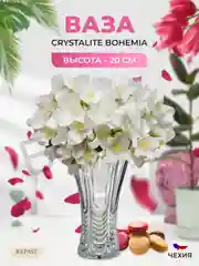 Прозрачный ваза Crystalite Bohemia Orion 20 см
