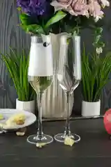 Набор фужеров для шампанского Crystalite Bohemia Alca 220 мл 2 шт.