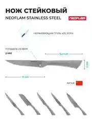 Серебряный нож Стейковый Neoflam Stainless Steel 20х2х2 см