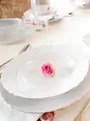 Набор плоских тарелок 21 см Repast Rococo с золот.полос. ( 6 шт)