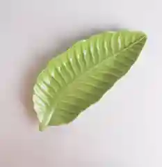 Набор сервировочных блюд Repast Green summer лист банана 26*12,5*2,8 см (2 шт)