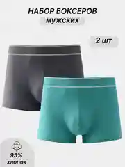 Тёмно-серый боксеры мужские, 2 шт
