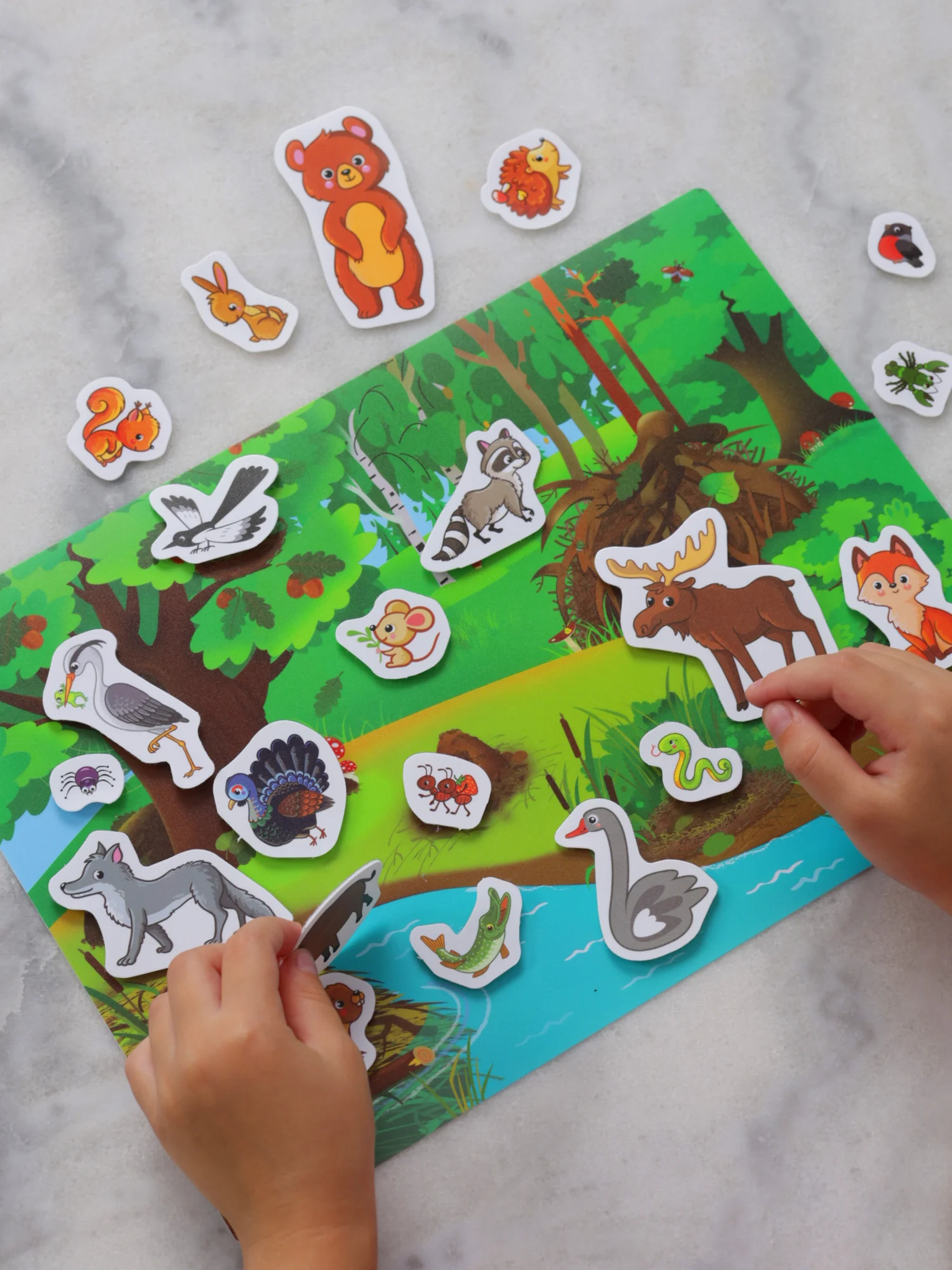 Игры на пластике с липучками. Лесные животные, Дрофа-Медиа