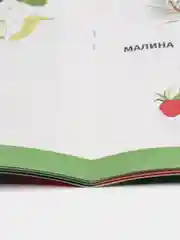 Сборник шпаргалок для 1-4 классов Окружающий мир, 60 стр