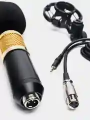 Черный микрофон БМ - BM 800, студийный конденсаторный с держателем без стойки