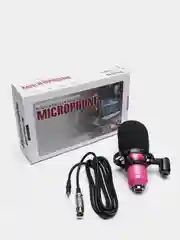 Розовый микрофон БМ - BM 800, студийный конденсаторный с держателем без стойки