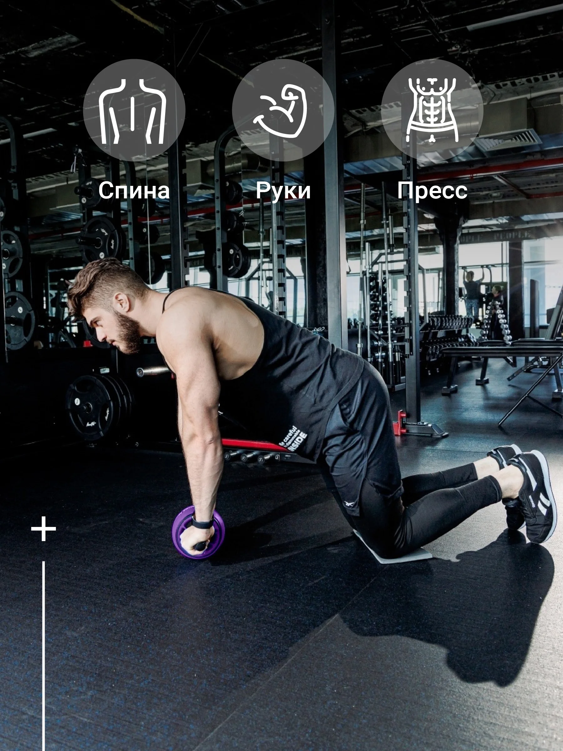 Фиолетовый ролик для пресса, тренажер для пресса, спины и рук Shark Fit, колесо для спорта и фитнеса