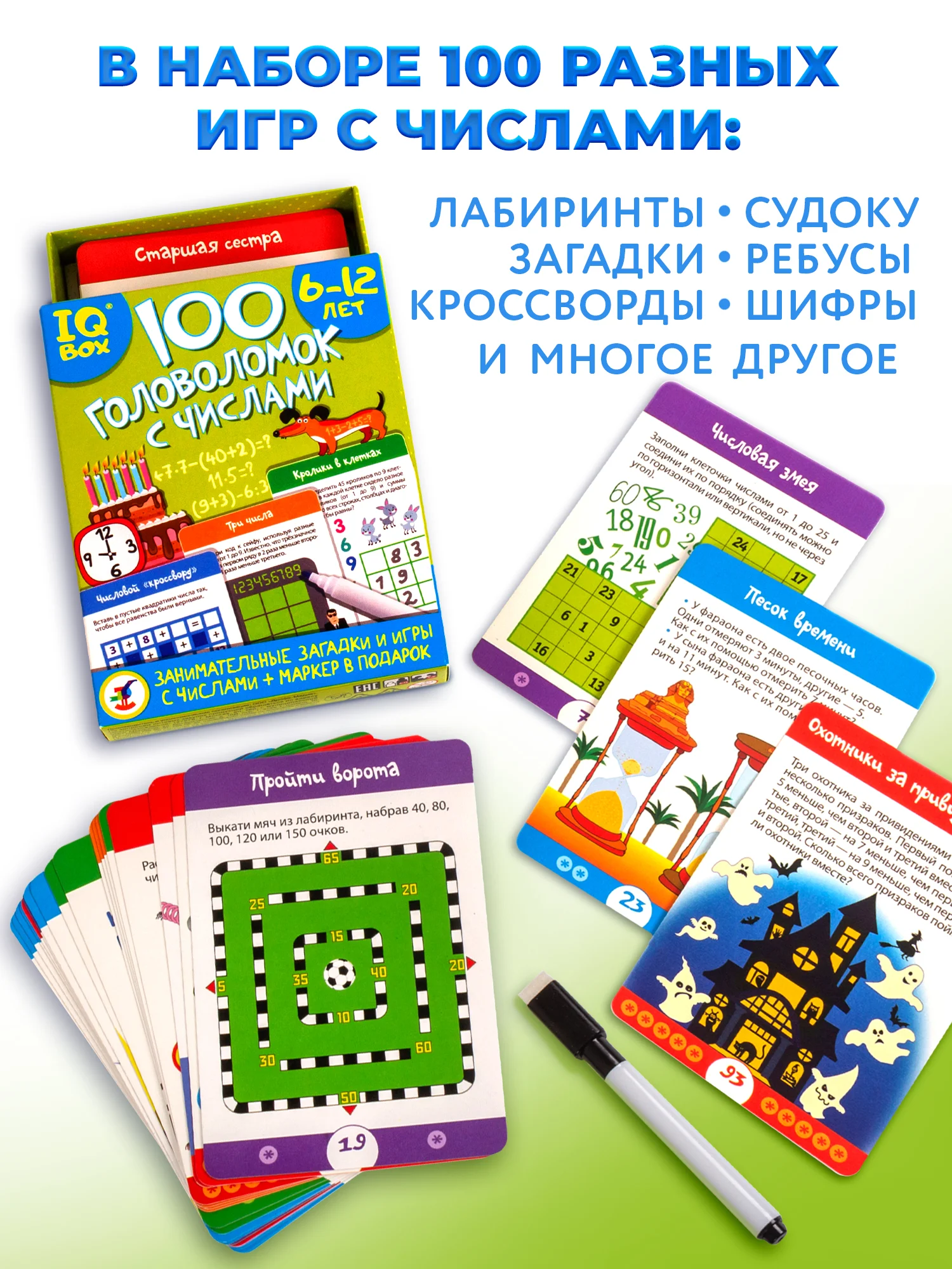 IQ Box "100 Головоломок с числами", Дрофа-Медиа