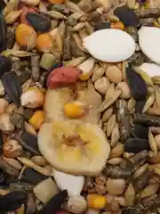 Корм для грызунов натуральный GRANOFEED, зерносмесь, без ГМО, в упаковке зип-лок, 1500 г
