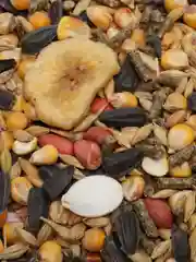Корм для крыс натуральный GRANOFEED, зерносмесь, без ГМО, в упаковке зип-лок, 800 г