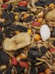 Корм для хомяков натуральный GRANOFEED, зерносмесь, без ГМО, в упаковке зип-лок, 400 г